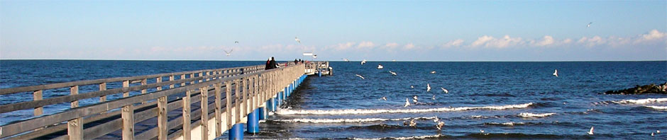 Die Seebrücke am Schönberger Strand mit Möwen über der Ostsee